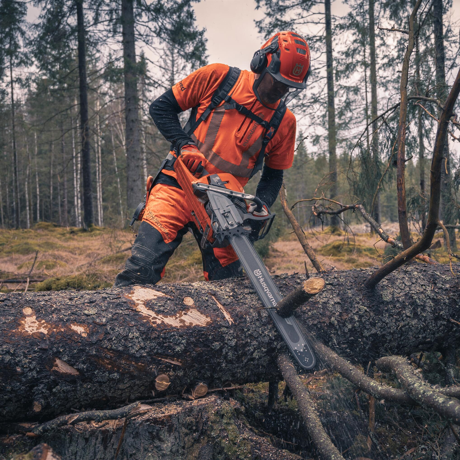 天然コンゴ産パイナップル水晶クラスターB0329/YS/ZX252/280A Husqvarna 592XP Chainsaw — Schulz Service Center